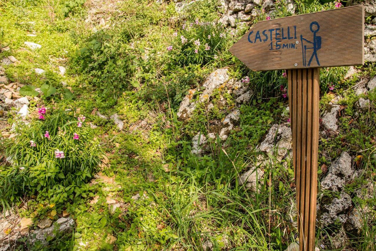 Castelli Olive Press Guest House อาคาราวี ภายนอก รูปภาพ