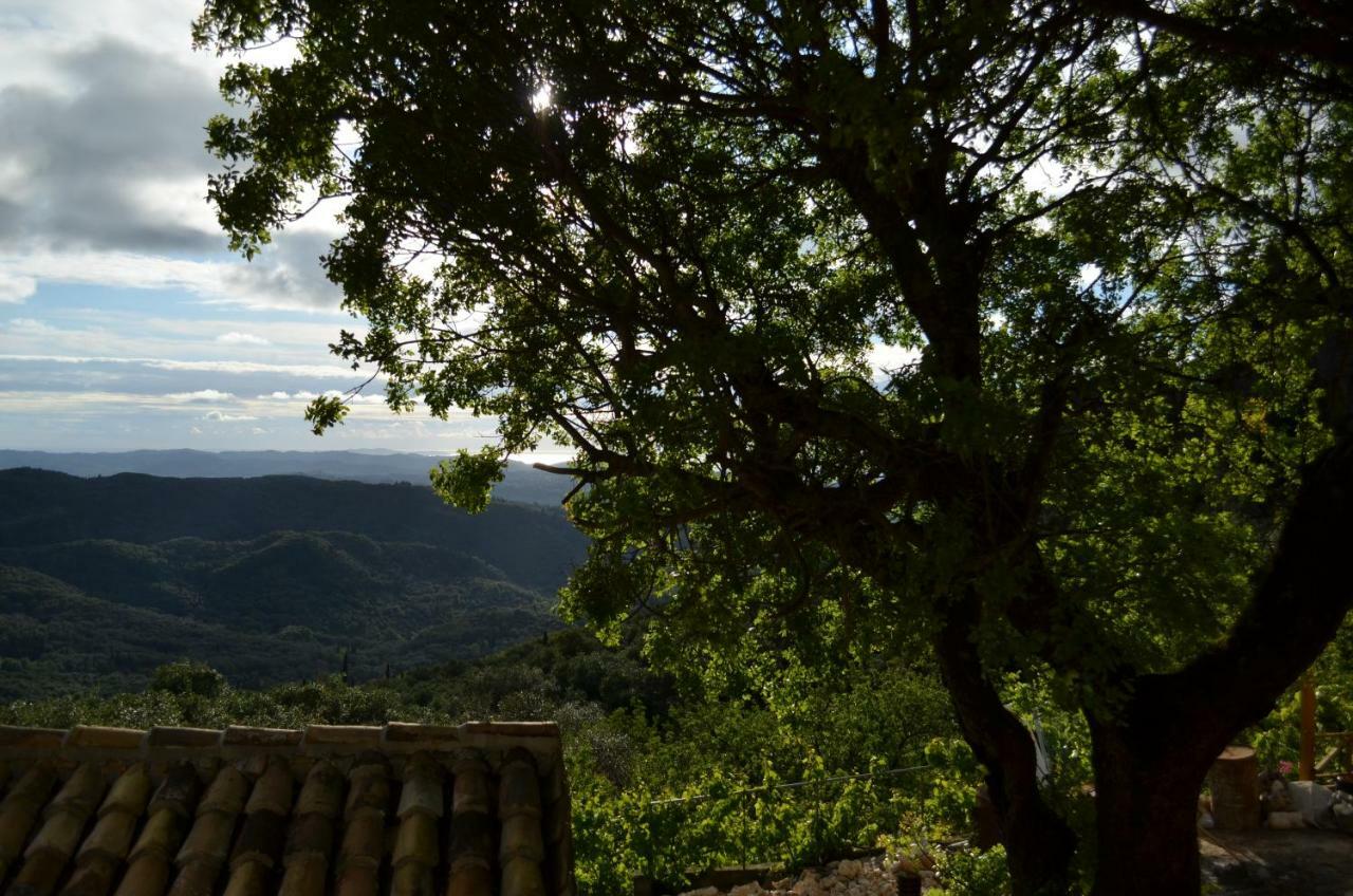Castelli Olive Press Guest House อาคาราวี ภายนอก รูปภาพ