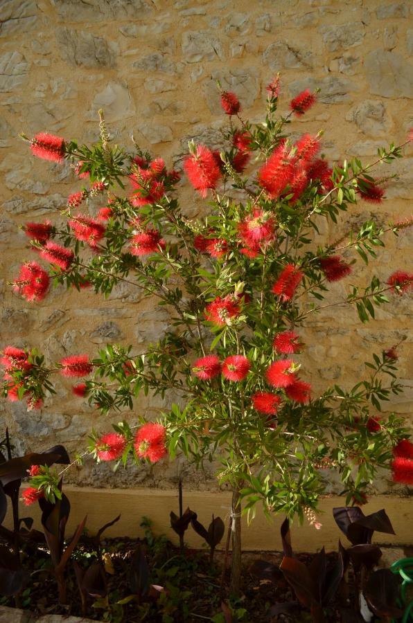 Castelli Olive Press Guest House อาคาราวี ภายนอก รูปภาพ