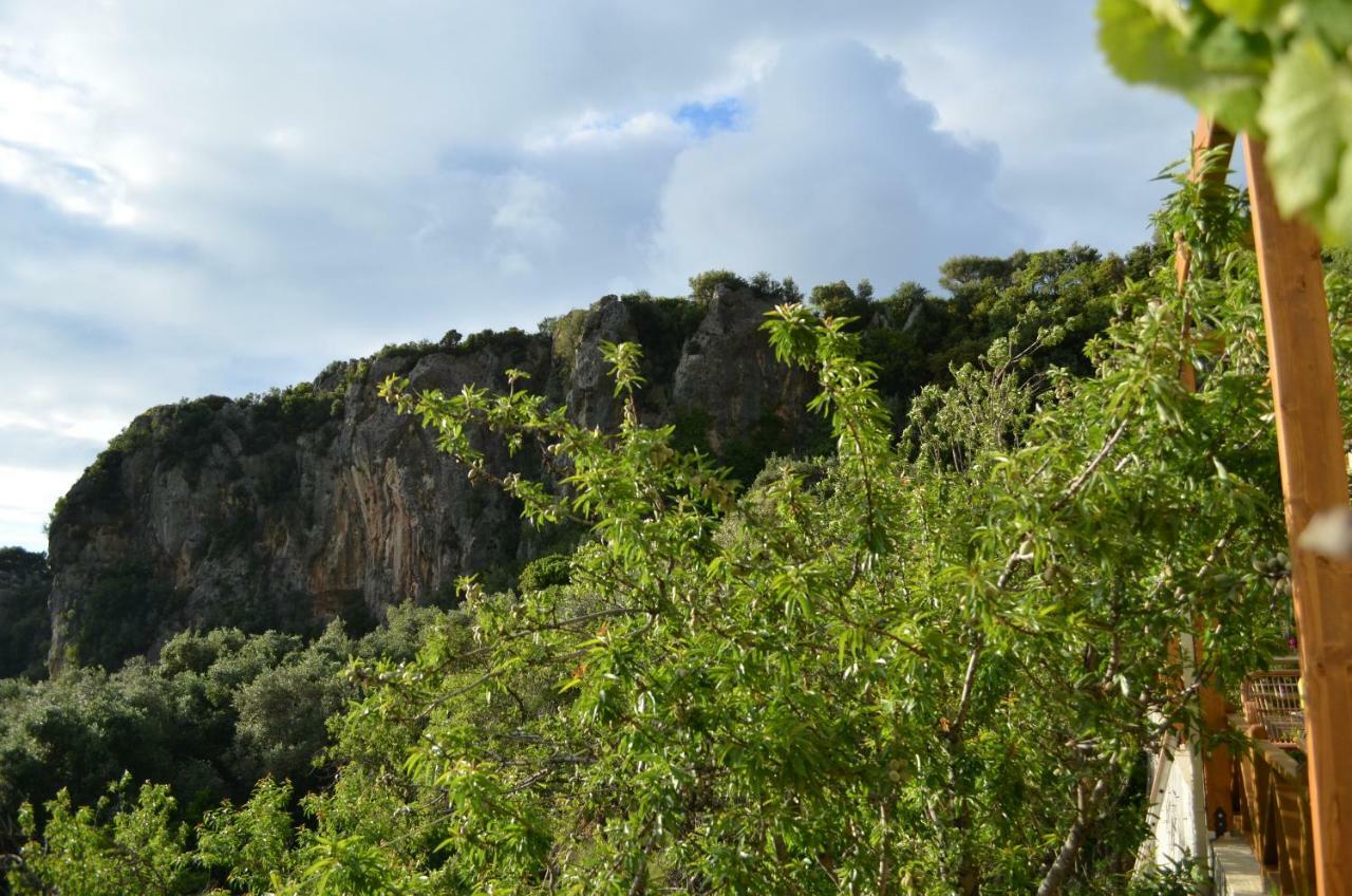 Castelli Olive Press Guest House อาคาราวี ภายนอก รูปภาพ